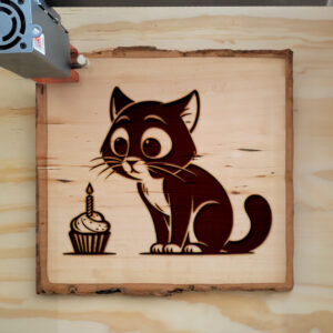 504431_wood-laser-1.jpg