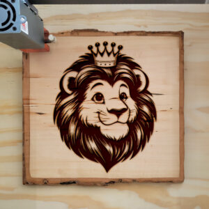 507594_wood-laser-1.jpg
