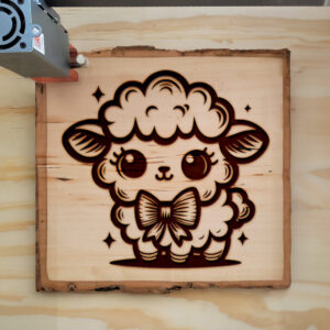 507627_wood-laser-1.jpg