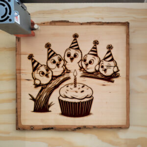 507633_wood-laser-1.jpg