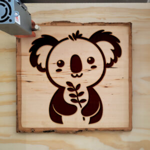 507656_wood-laser-1.jpg
