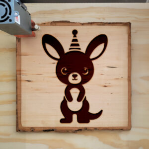 507665_wood-laser-1.jpg