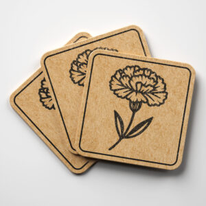 517905_coaster-1.jpg