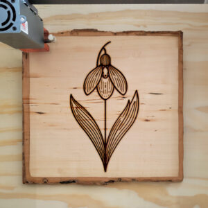 517940_wood-laser-1.jpg