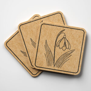 517956_coaster-1.jpg