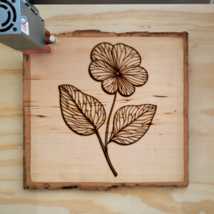 517976_wood-laser-1.jpg