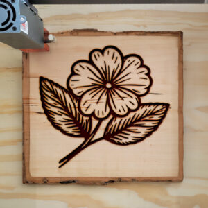 518018_wood-laser-1.jpg
