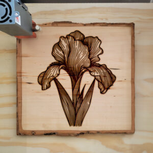 518034_wood-laser-1.jpg