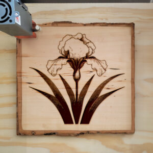518056_wood-laser-1.jpg