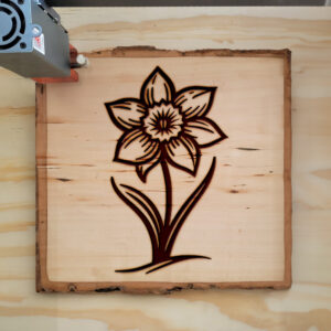 518080_wood-laser-1.jpg