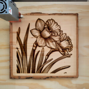 518098_wood-laser-1.jpg