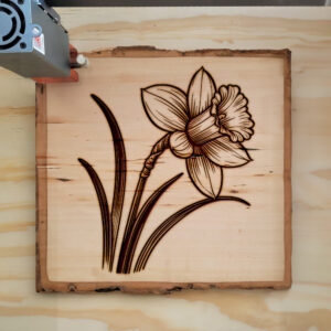 518109_wood-laser-1.jpg