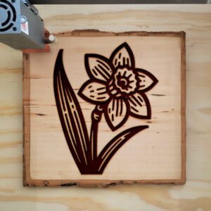518127_wood-laser-1.jpg