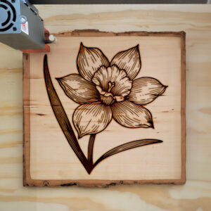 519082_wood-laser-1.jpg