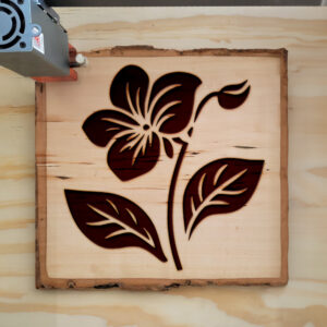 519084_wood-laser-1.jpg