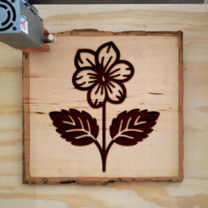 519088_wood-laser-1.jpg