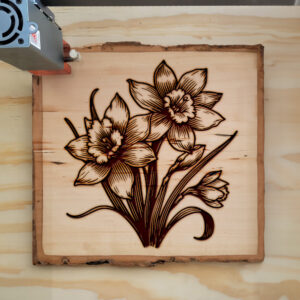519090_wood-laser-1.jpg