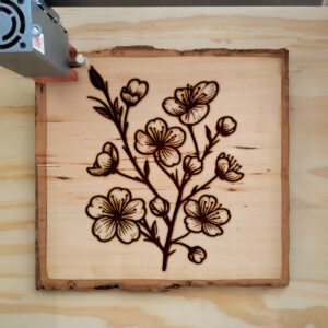 519114_wood-laser-1.jpg