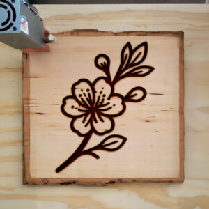 519124_wood-laser-1.jpg