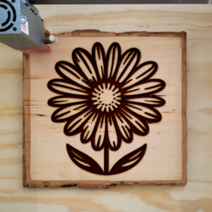519134_wood-laser-1.jpg