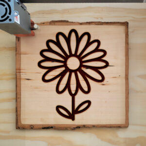 519136_wood-laser-1.jpg
