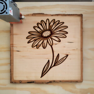 519140_wood-laser-1.jpg