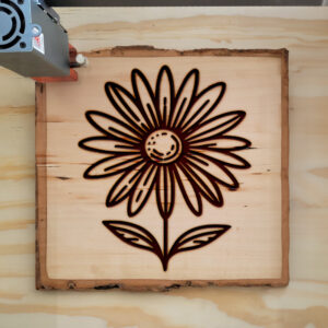 519146_wood-laser-1.jpg