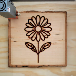 519150_wood-laser-1.jpg