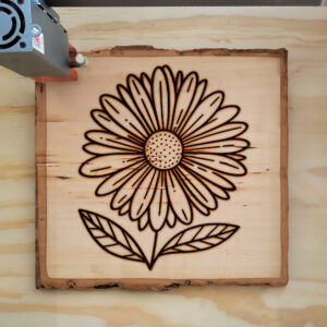 519156_wood-laser-1.jpg