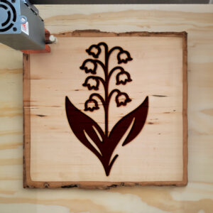 519925_wood-laser-1.jpg