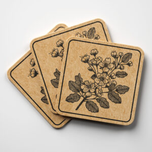 519932_coaster-1.jpg