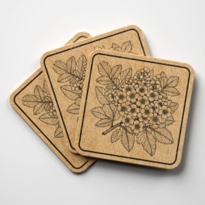 519937_coaster-1.jpg