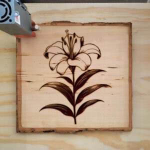 519976_wood-laser-1.jpg