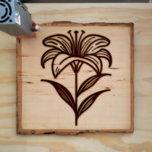 519989_wood-laser-1.jpg