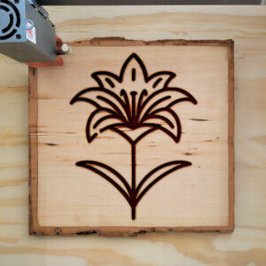 519992_wood-laser-1.jpg