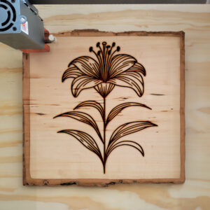 520000_wood-laser-1.jpg
