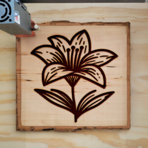 520006_wood-laser-1.jpg