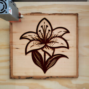 520010_wood-laser-1.jpg
