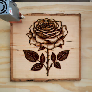520076_wood-laser-1.jpg