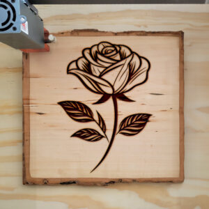 520128_wood-laser-1.jpg