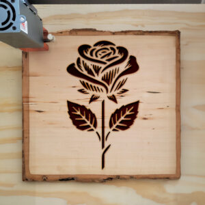 520136_wood-laser-1.jpg