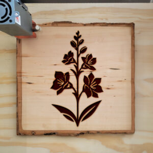 520240_wood-laser-1.jpg