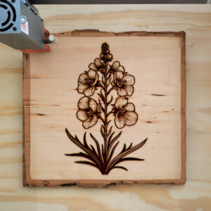 520256_wood-laser-1.jpg