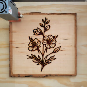 520258_wood-laser-1.jpg