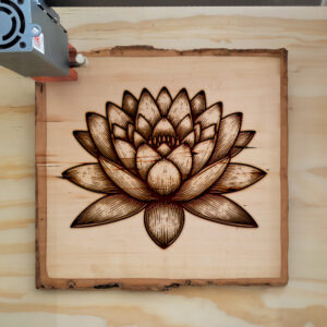 520280_wood-laser-1.jpg