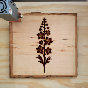 520291_wood-laser-1.jpg