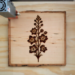 520293_wood-laser-1.jpg