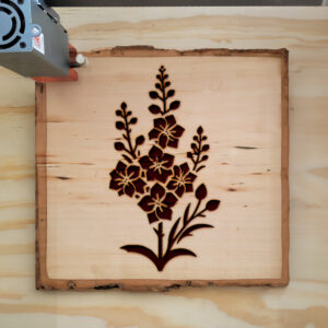 520299_wood-laser-1.jpg