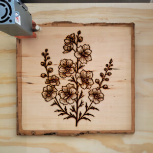 520323_wood-laser-1.jpg