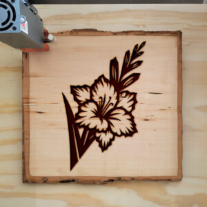 524639_wood-laser-1.jpg
